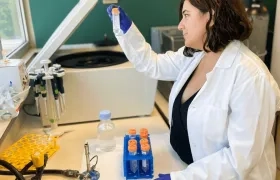 Imagen de referencia.