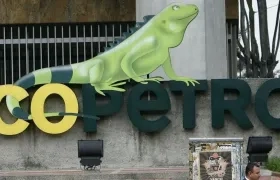 Imagen de referencia.