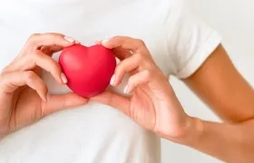 Imagen de Referencia. 