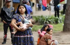 Regresaran al municipio de Pueblo Rico, en el departamento de Risaralda. 