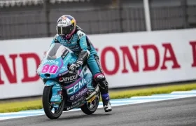 El colombiano David Alonso.