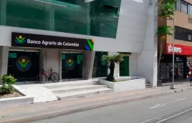 Banco Agrario de Murillo.