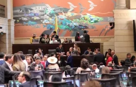 Cámara de Representantes.