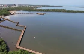 Ciénaga de Mallorquín.