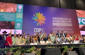 La sesión del Congreso en la COP16.