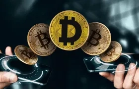 Captadora de dinero Daily Cop. 