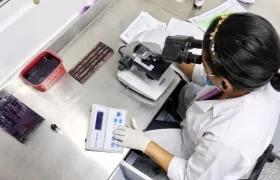 Imagen de referencia.