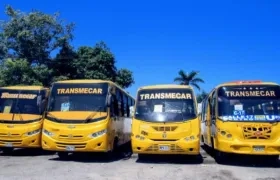 Buses de Transmecar.