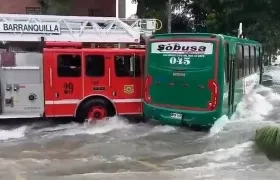 Emergencia en el arroyo de la 85.
