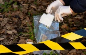 Imagen de referencia.