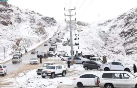 Imagen de la nevada.