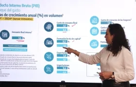 Piedad Urdinola, directora del Dane.