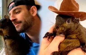 Mark Longo y su ardilla 'Peanut'. 