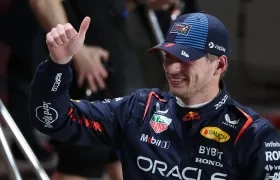 El neerlandés Max Verstappen.