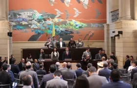 Plenaria de la Cámara de Representantes.