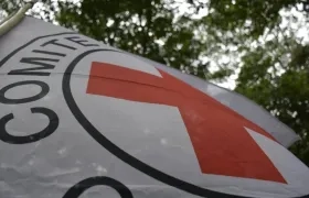 Imagen de referencia.