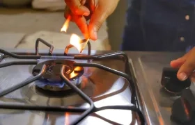 Imagen de referencia.