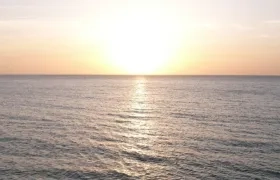 Imagen de referencia.