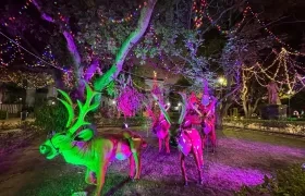 Decoración navideña.