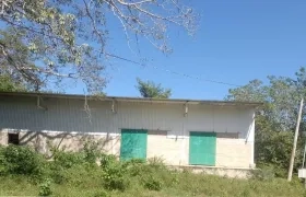 Planta despulpadora de mango