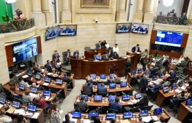 Plenaria del Senado.