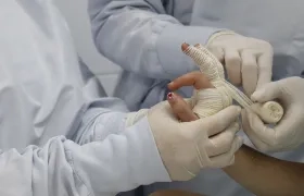 Imagen de referencia.