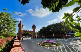 British International School.