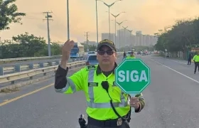 Áreas de prevención y control.