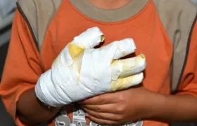 Imagen de referencia.