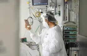 Imagen de referencia.