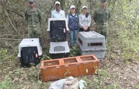 Miembros de la Armada de Colombia, junto a integrantes de la Corporación Autónoma Regional del Canal del Dique (CARDIQUE). 