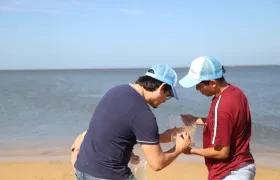 Investigador durante la recolección de muestras. 