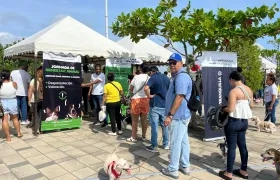 Jornadas de bienestar animal en Barranquilla.