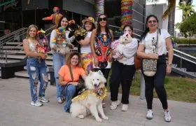 Las mascotas serán las protagonistas. 