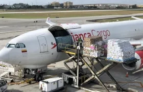 Cajas de flores importadas en el aeropuerto de Miami.
