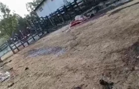 Los delincuentes sacrificaron varias reses en la finca. 