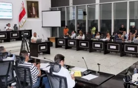 Asamblea Departamental. 