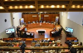 Corte Constitucional.