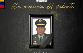  Francisco Javier Bertel Pérez.