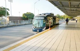 Buses nuevos de Transmetro.