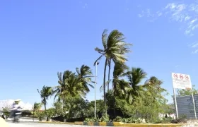 Los vientos pueden generar emergencia en la ciudad. 