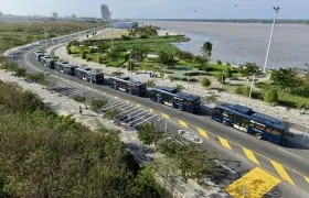 Nuevos vehículos para Transmetro.