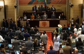 Plenaria de la Cámara de Representantes. 