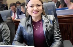 La segunda vicepresidenta de la Cámara de Representantes, Lina María Garrido.