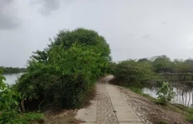 Lugar donde fue encontrado el cuerpo.