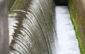 Imagen de referencia.