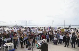 Activistas manifestándose. 