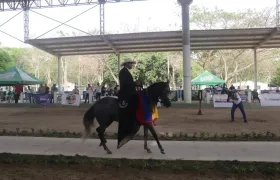 Participarán 200 caballos en la demostración. 