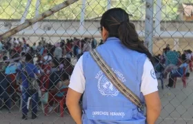 Chaleco de la Organización de las Naciones Unidas.