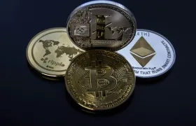 Imagen de referencia.